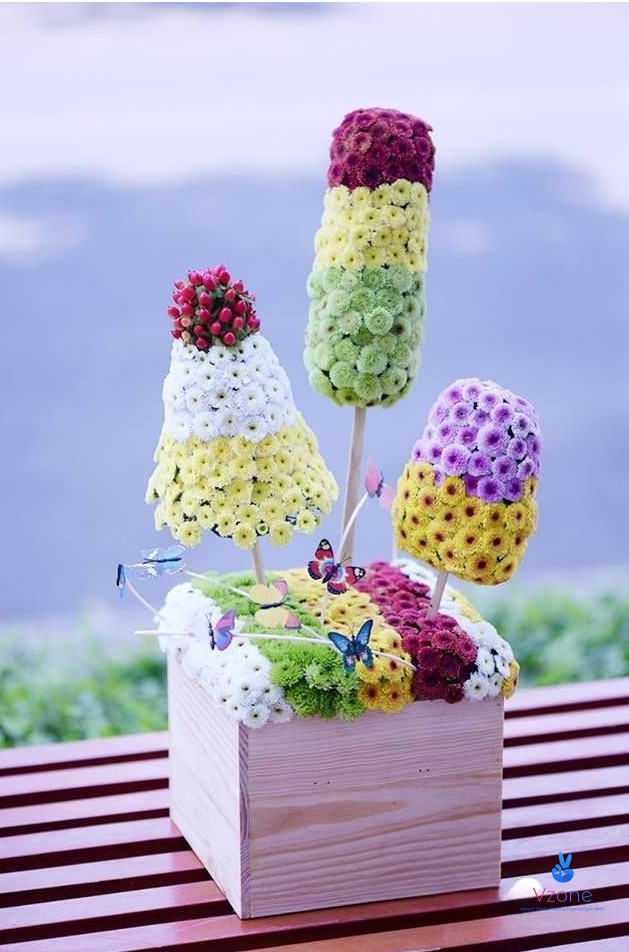 4. Hoa cúc hai màu kỳ lạ - hiện tượng chimera thực vật