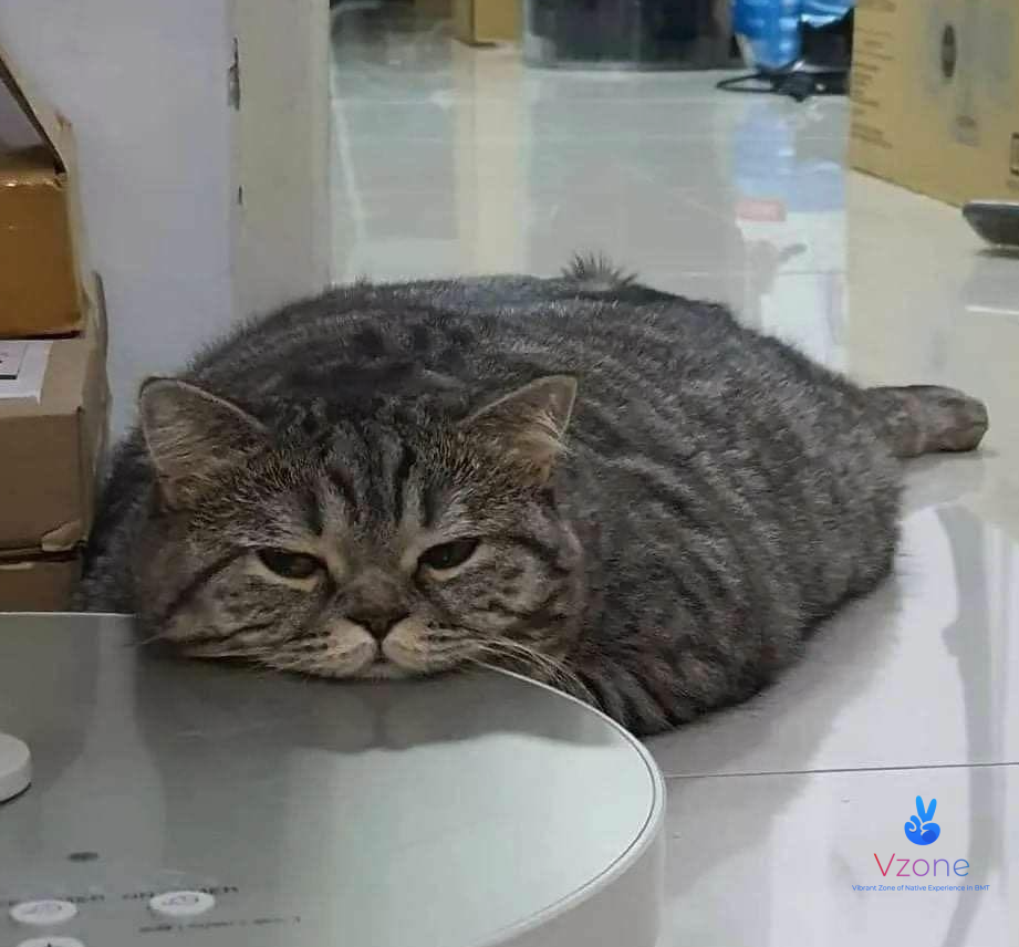 Chuẩn bị trước khi đến phòng khám