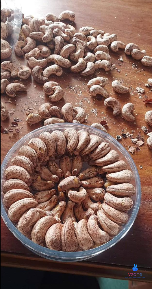 Đặc điểm hạt điều Đắk Lắk