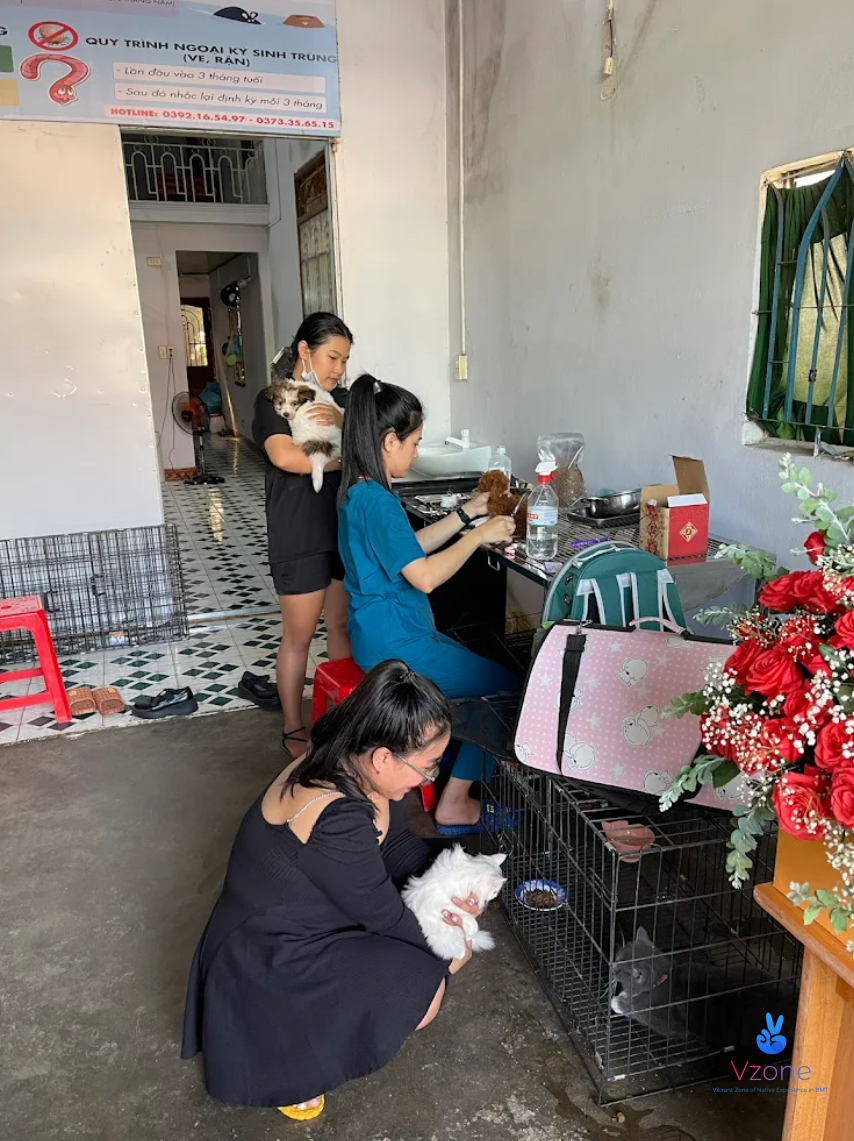 Phòng Khám Thú Y AnVi Pet