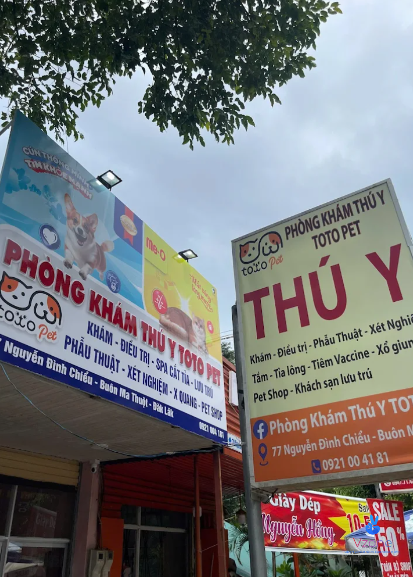 Phòng Khám Thú Y TOTO PET