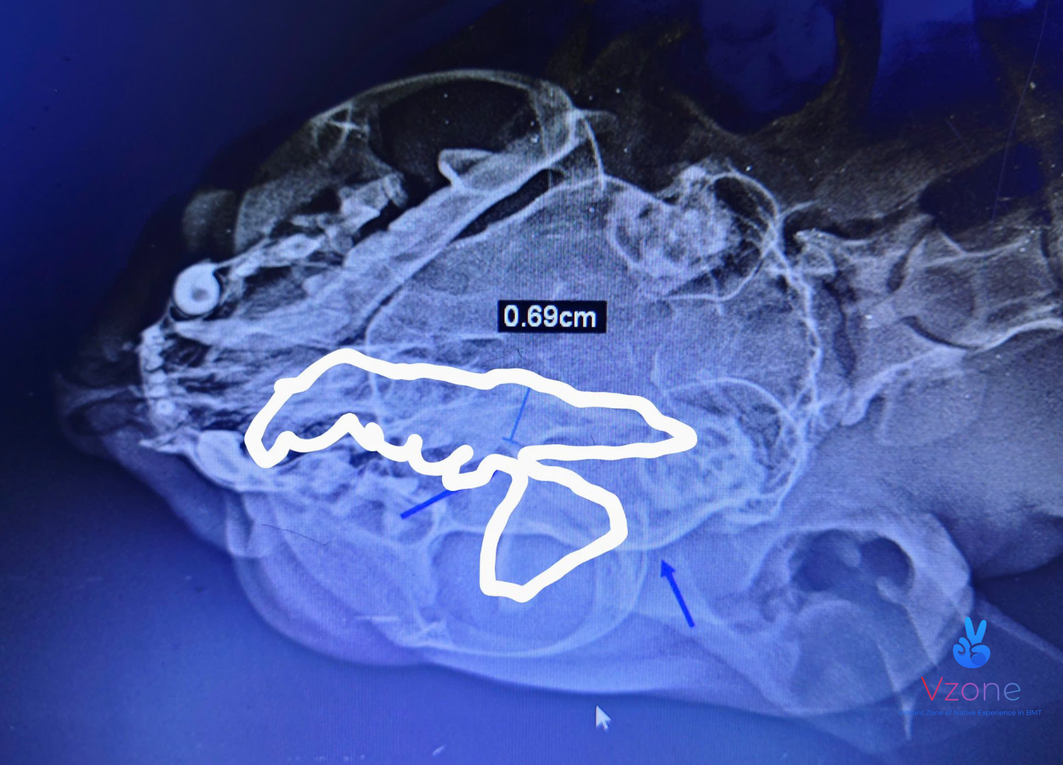 Tiêu chí chọn phòng khám thú y uy tín