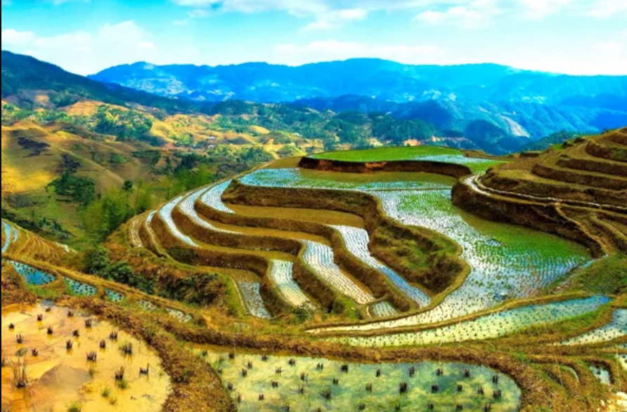 Đảo Corregidor, Makati, ruộng bậc thang Banaue và núi lửa Taal